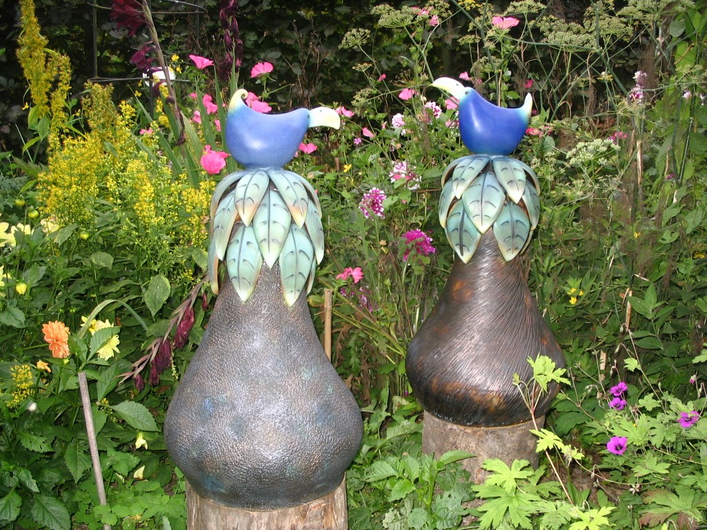 birds in the undergrowth